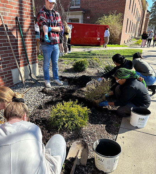 students planting bushes, shrubs in front of building