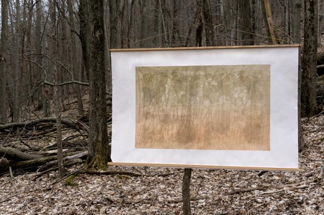 Desaturated orange/yellow print with impressed marks from branches, on paper hanging in forest.