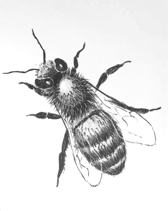 A print of a bee.