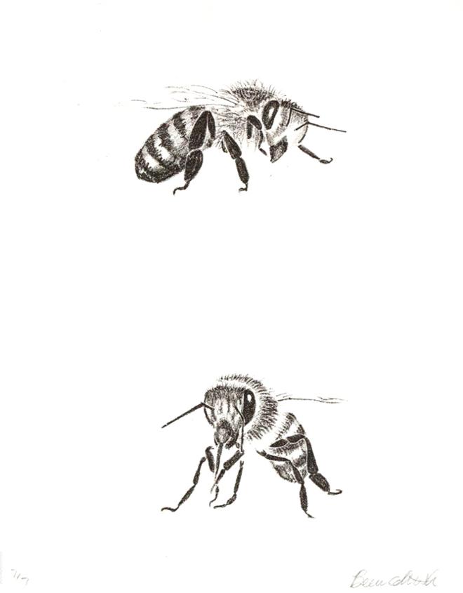 Two Bees Flying