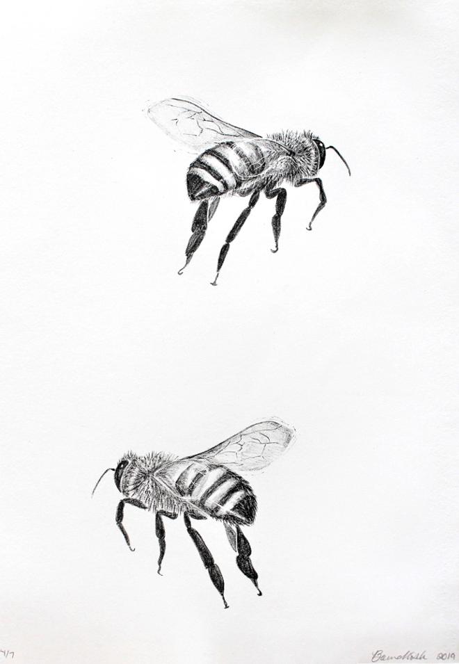 Mieth Bees Print